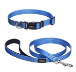 SkiDoo Dog Leash and Collar (medium dogs)