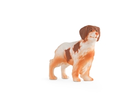 Brittany Spaniel  - Collect 'N Play